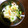 shizuとreo's cooksnap of when they made 簡単☆生姜効果☆きゅうりと生姜の塩麹浅漬.