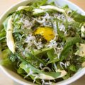 garden34's cooksnap of when they made 湘南江ノ島風♡釜揚げしらす丼.