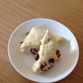 ともちなつ's cooksnap of when they made 簡単＊クランベリースコーン.