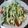 だんぢり女's cooksnap of when they made 冷やしうどんサラダ.