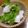 marilin36's cooksnap of when they made シンプル爽やか☆イカとセロリの塩麹サラダ.