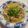 莉紅花's cooksnap of when they made きのことツナの簡単ワンパン和風パスタ.