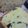 mioly's cooksnap of when they made HBスイートパン☆パンプキン☆.