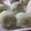 non520's cooksnap of when they made ＊美味しい♪ずんだ生クリーム大福＊.