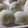 non520's cooksnap of when they made ＊美味しい♪ずんだ生クリーム大福＊.