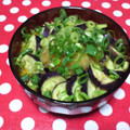 ☆kinoko☆'s cooksnap of when they made 簡単＊ナスと大根おろしの冷やしうどん.