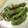 mcc5646's cooksnap of when they made ししとう炒め.