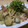 yappyパクパク's cooksnap of when they made 茄子とベーコンのコク旨和風パスタ.