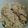 ちぃ410's cooksnap of when they made キノコたっぷり炊き込み御飯.