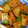 muuyome's cooksnap of when they made ちくわとピーマンのごま塩きんぴら♪.