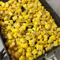 ゆかタートル's cooksnap of when they made とうもろこしの実を取ろう☆ミ.