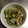 naxaaaaaさん's cooksnap of when they made 白菜・大根・きゅうりのゆず塩こんぶ漬け☆.