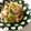 batakochan's cooksnap of when they made ササミと三つ葉のからしポン酢和え！.