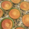 ｺｯｺﾊﾟｯﾄﾞ's cooksnap of when they made ✿キュートなマドレーヌ✿.