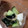 ＊わ　ぁ＊'s cooksnap of when they made 長芋ときゅうりのなめ茸和え.
