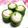 シャンプーハット's cooksnap of when they made 青梗菜でくるくる！.