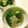 なおなお１０２２'s cooksnap of when they made 超簡単ヘルシーきゅうりお漬物.