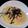 らんパー's cooksnap of when they made 簡単！明太子パスタ.