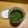たんぽぽママ's cooksnap of when they made 紫蘇の実の塩漬け.
