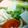 numpy's cooksnap of when they made 温まるよ～ヽ(´ー｀)ノ1人鍋DE寄せ鍋.