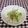 龍青空ママ's cooksnap of when they made きのことアボカドのツナ酢みそがけ.