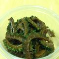 もずく（＾ω＾）'s cooksnap of when they made ポリポリ美味しい～ゴーヤの漬物.