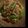 miya1427's cooksnap of when they made オクラ入り★簡単豚の生姜焼き★.