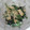 kumiれぽ's cooksnap of when they made ほうれん草の卵とじ.