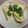 sukennya's cooksnap of when they made かまぼことパセリのチーズトースト.