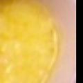 にこん❀'s cooksnap of when they made 暖まる♪生姜風味のホットミルク粥.