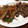 m_mind's cooksnap of when they made 牛肉とごぼうのきんぴら風炒め.