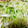 6mori's cooksnap of when they made 簡単☆もやしの和え物.