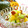 薄荷パン's cooksnap of when they made ✿みぞれ和えサラダ✿.