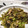 ぷるワン's cooksnap of when they made ソラマメと豚肉の高菜炒め.