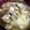 めけてー's cooksnap of when they made キャベツと鶏肉のあっさり煮.