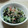 ポニーリボン's cooksnap of when they made きゅうりとわかめとかにかまかに酢.