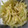 ＫａｏｒｉＯ's cooksnap of when they made キャベツのごまあえ♪.