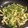 チャチまる's cooksnap of when they made 簡単な作り方の青椒肉絲.