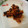 nazoko's cooksnap of when they made ごまたっぷり！山椒の実の万能ダレ.