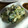 ゆずりんごもち's cooksnap of when they made 甘めの白和え＊ほうれん草とこんにゃく＊.