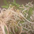 お花小町's cooksnap of when they made 簡単♪パパッと中華おかず　にらもやし♡.