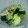 れんりんらん's cooksnap of when they made キュウリとみょうがの和え物♪.