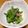 やいちのりんご's cooksnap of when they made 簡単にもう一品☆小松菜のツナ和え.