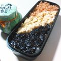 umebotan's cooksnap of when they made 第２６６の隷使緋：サケノサンショクエル.