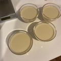 クックO439YN☆'s cooksnap of when they made 簡単！至福の豆乳花(ﾄｰﾙｰﾌｧ)！.