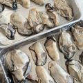 ゆかりりりー's cooksnap of when they made 加熱用牡蠣の個冷凍.