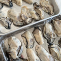 ゆかりりりー's cooksnap of when they made 加熱用牡蠣の個冷凍.