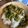 こうせい(=ﾟωﾟ)ﾉ's cooksnap of when they made かける水菜.