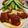 バニラとソラ's cooksnap of when they made ハンバーグに！チーズソース♪.