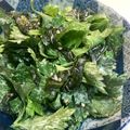 tukkerjp's cooksnap of when they made セロリとワカメの辛子胡麻マヨサラダ.